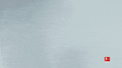 Come On Please GIF by Bundesliga