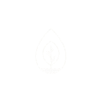 Seedlingdigital seedling digital Sticker