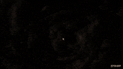 full moon illustration GIF by Animation Domination High-Def