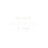 Maren Fotosintesis Sticker by BULEGO