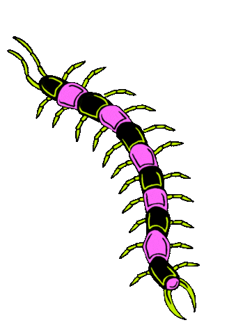 eatrotten bug centipede feedyourfreak rottengummyworms Sticker