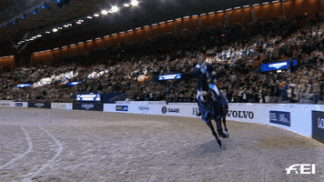 FEI_Global celebration celebrate point winner GIF