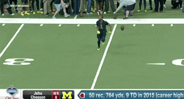 GIF by Michigan Athletics