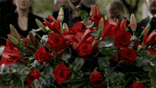 GIF by The Blacklist