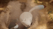 Pop Up Bunny GIF by Pokémon