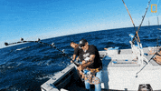 Wicked Tuna Fishing GIF by National Geographic Channel
