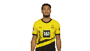 Borussia Dortmund Thumbs Up Sticker by Bundesliga