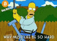 Crypto Bitcoin GIF by CrypTalks