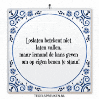 Nl Wijsheid GIF by Tegelspreuken.nl
