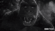Confused Black And White GIF by HBO Max