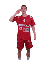 Wilhelmshaven Whv Sticker by whvhandball