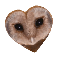 owl STICKER by imoji