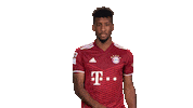 Bayern Munich Smiling Sticker by Bundesliga
