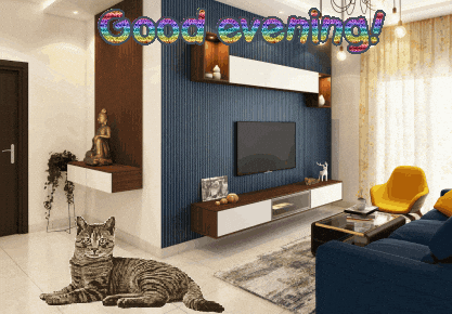 My Pet Cats GIF