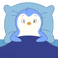 Penguin Staring GIF by Pudgy Penguins