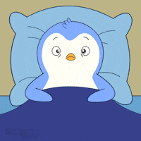 Penguin Staring GIF by Pudgy Penguins