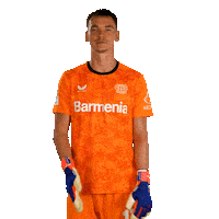 I Love You Kiss Sticker by Bayer 04 Leverkusen