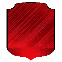 Futbol Equipo Sticker by Mahou