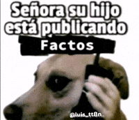 Fact GIF