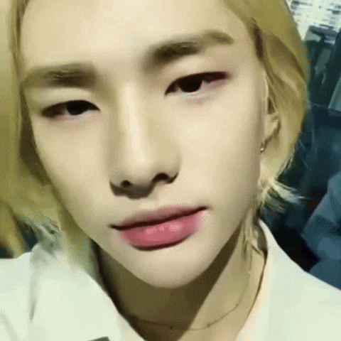 tamazin giphycreatortest skz straykids hyunjin GIF