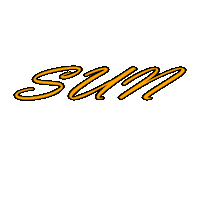 Sun Strength Sticker by ixmal MEHR FITNESS