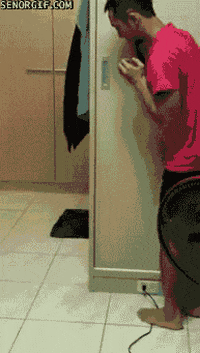 scared cat GIF by Cheezburger