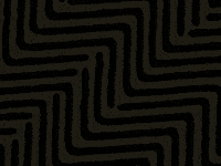 What Do You Want GIF by Lil Jon