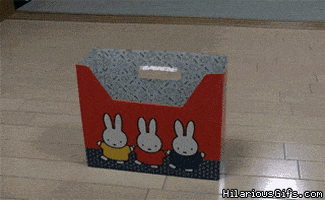 fits GIF