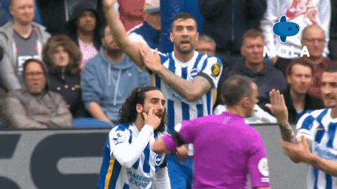 Premier League Football GIF by MolaTV