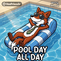 All Day Swimming GIF by VeeFriends