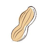 DamianoOrganic nuts healthyfood damiano organicfood Sticker