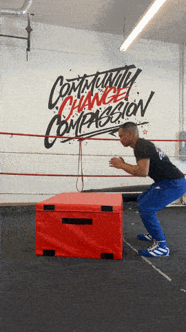 quinitboxing giphyupload GIF