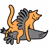 Cat Crow GIF