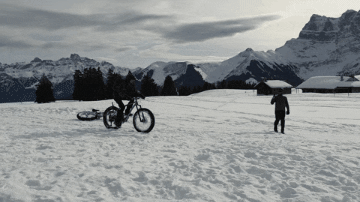 Newforestknights giphygifmaker giphygifmakermobile GIF