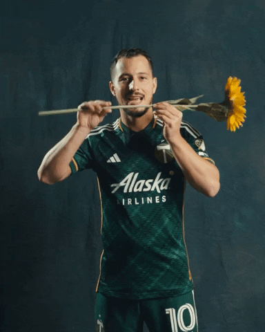 Major League Soccer Sport GIF by Timbers
