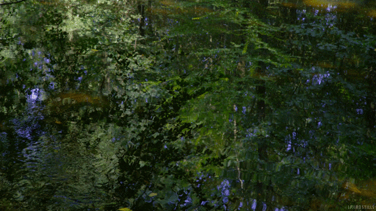 water waves GIF by Living Stills