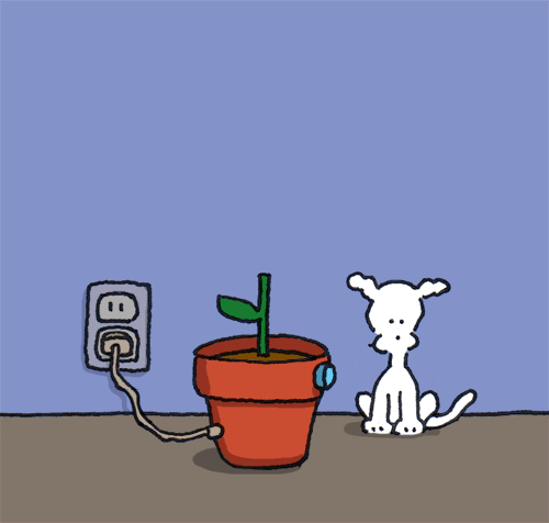 chippythedog giphyupload flower dogs flowers GIF