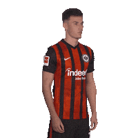 Posing Line Up Sticker by Bundesliga