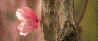 Music Video Dancing GIF by Netta