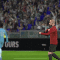Football Soccer GIF