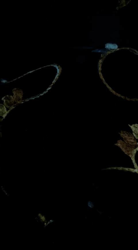 Mduggal giphyupload way to go almost there michael duggal GIF