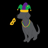 MUTTSCANTINA pawty mutts muttscantina muttscaninecantina GIF