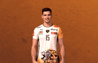 Volleyball Volley GIF by trefl_gdansk