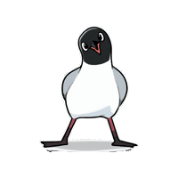 Gull Sticker