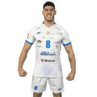 Power Volleyball Sticker by Ślepsk Malow Suwałki