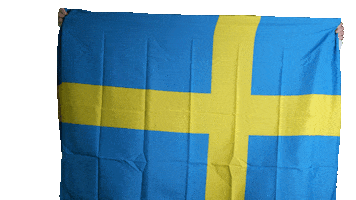 Euro 2020 Sweden Sticker by Jake Martella