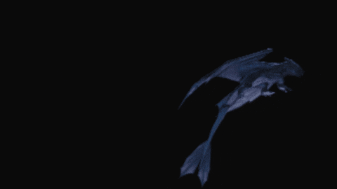 Fly Playing GIF by How To Train Your Dragon