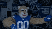 Violin Cosmo GIF by BYU Cougars