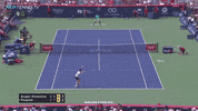 GIF by Tennis Channel
