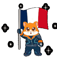 France Football Sticker by Hamieverse